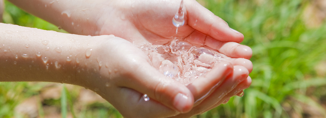 地球10周分の水路ネットワーク