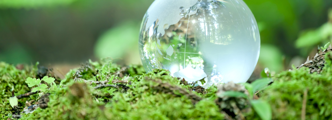 資源循環のネットワーク